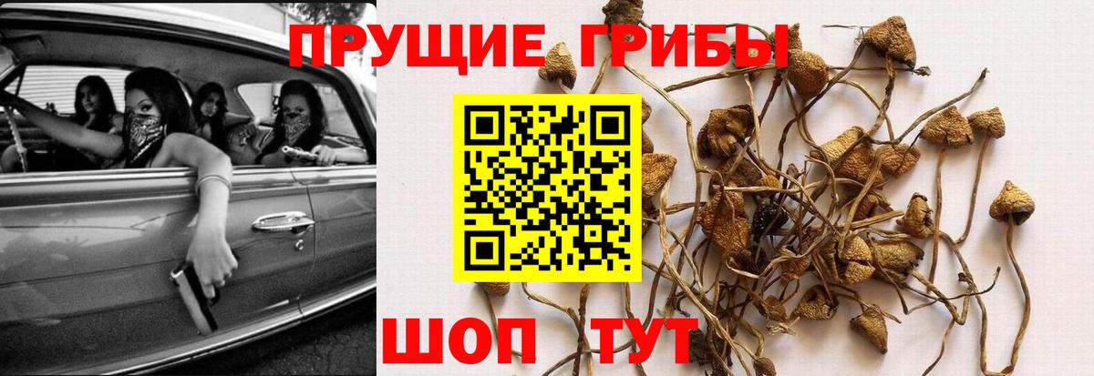 Псилоцибиновые грибы мухоморы  Вход с VPN  Псилоцибиновые грибы Psilocybine cubensis  Лосино-Петровский 